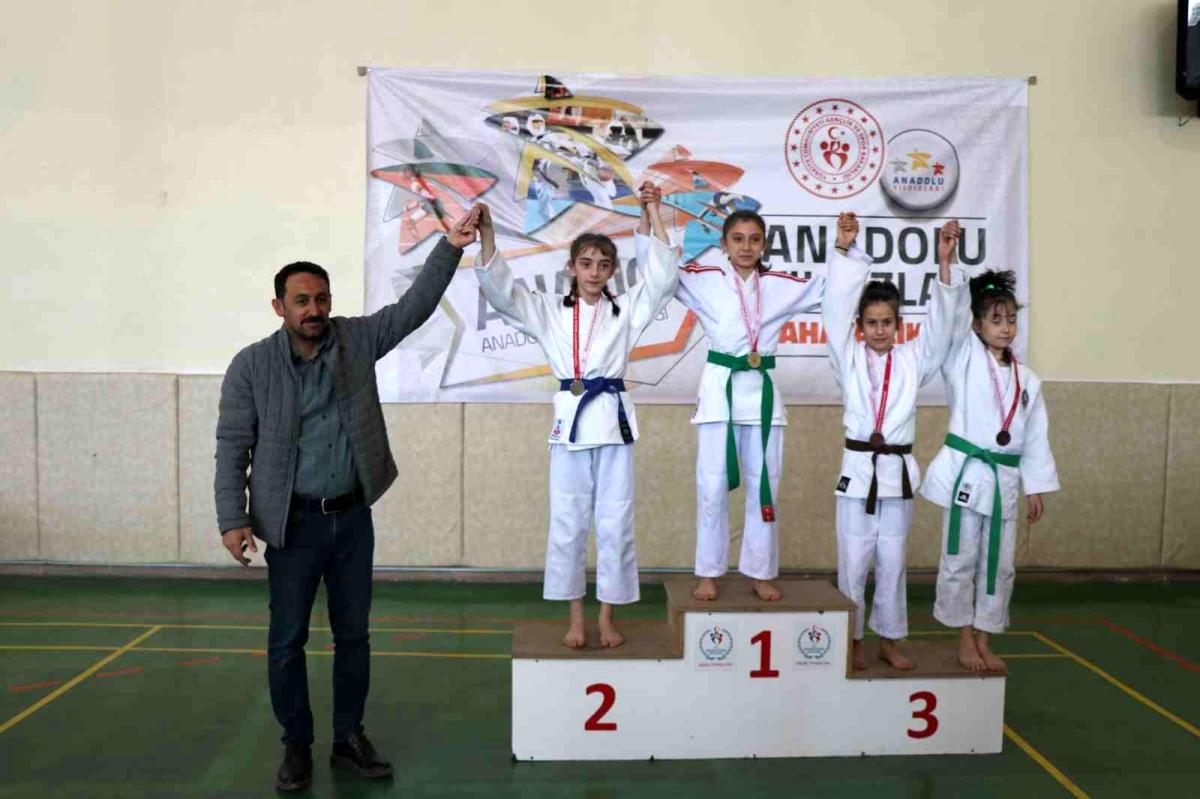 ANALİG Judo yarı final müsabakaları Erzincan'da yapıldı