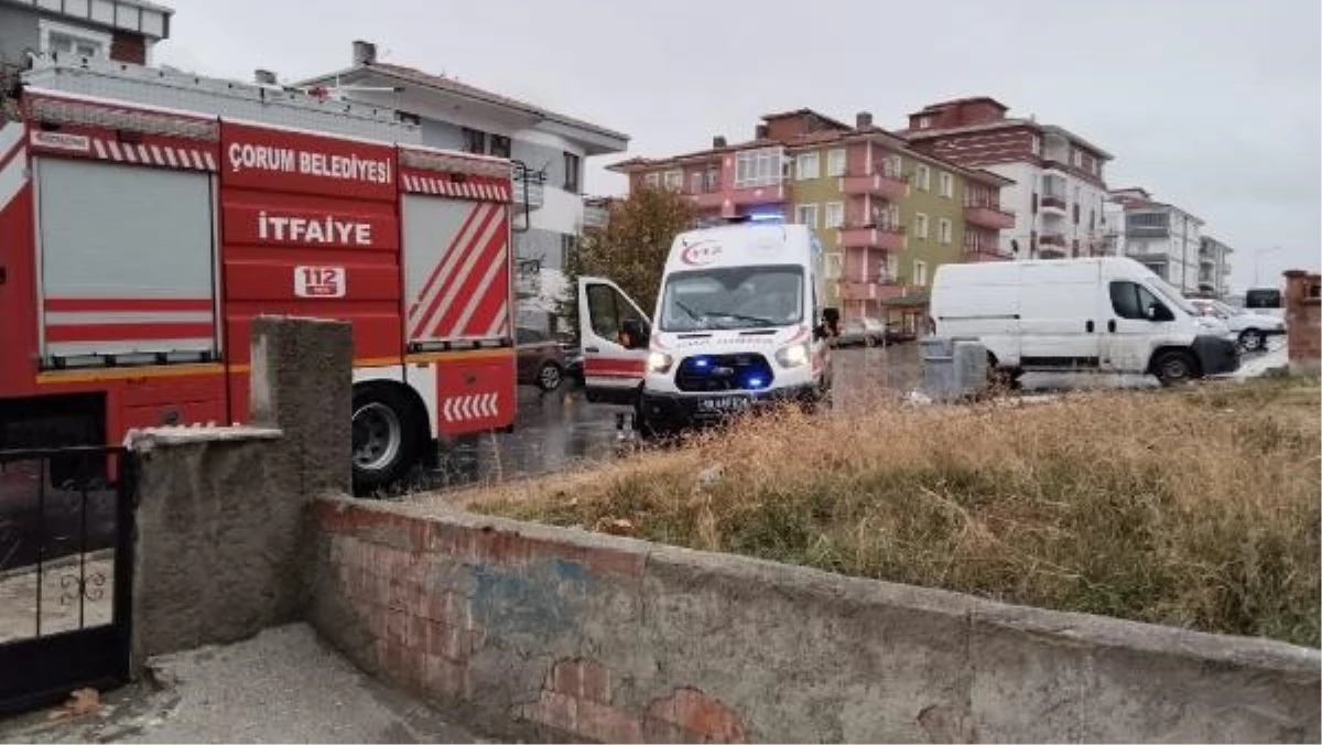Çorum'da Fırtına ve Dolu Yağışı: Yıldırım İsabet Etti, Ağaçlar Devrildi