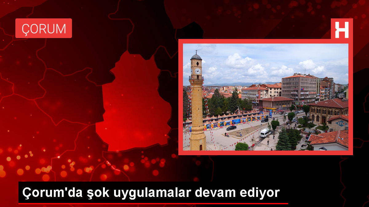 Çorum'da şok denetimlerde çok sayıda suç unsuru ele geçirildi