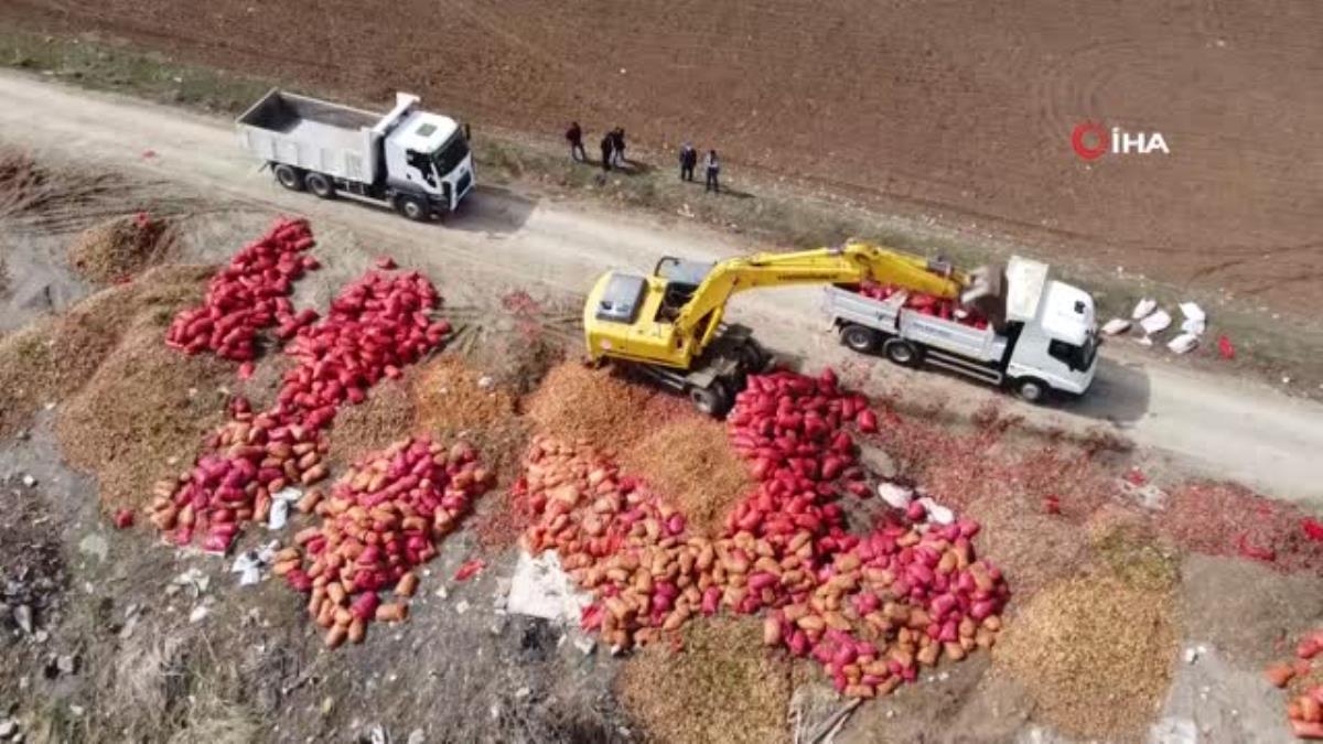 Çorum'da yol kenarına dökülen tonlarca soğan böyle görüntülendi