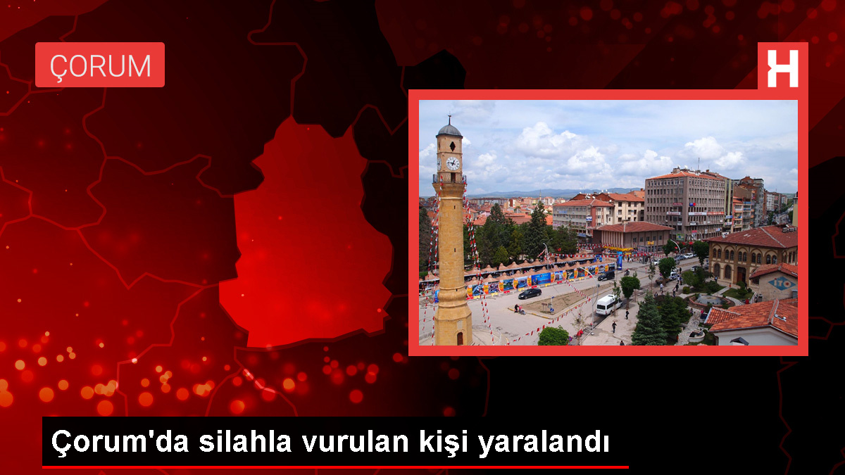 Çorum'un Alaca ilçesinde tüfekle vurulan kişi yaralandı