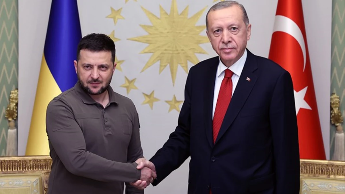 Cumhurbaşkanı Erdoğan ve Zelenski'den ikili görüşme sonrası ortak açıklama: Tahıl Koridoru Anlaşması'nın süresini 2 yıla çıkarma gayretindeyiz