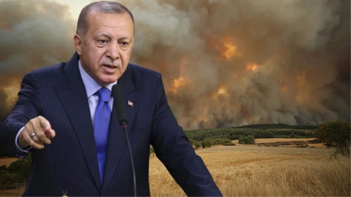 Cumhurbaşkanı Erdoğan'dan Çanakkale'deki orman yangına ilişkin açıklama: Yayılması durduruldu