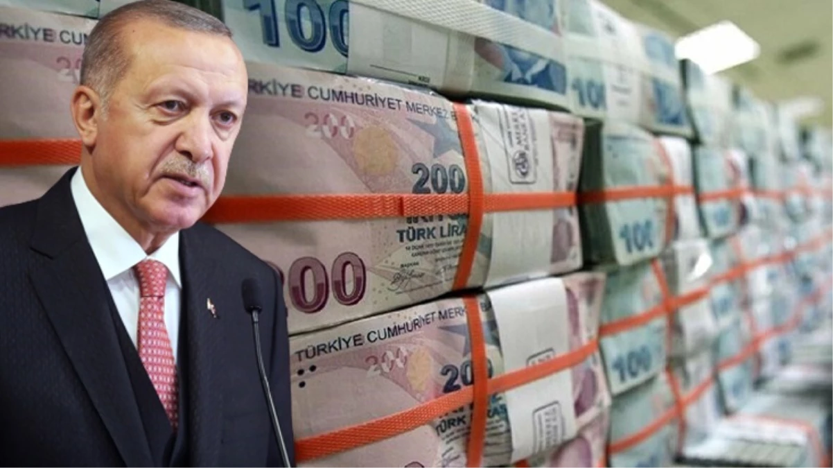 Erdoğan'ın 