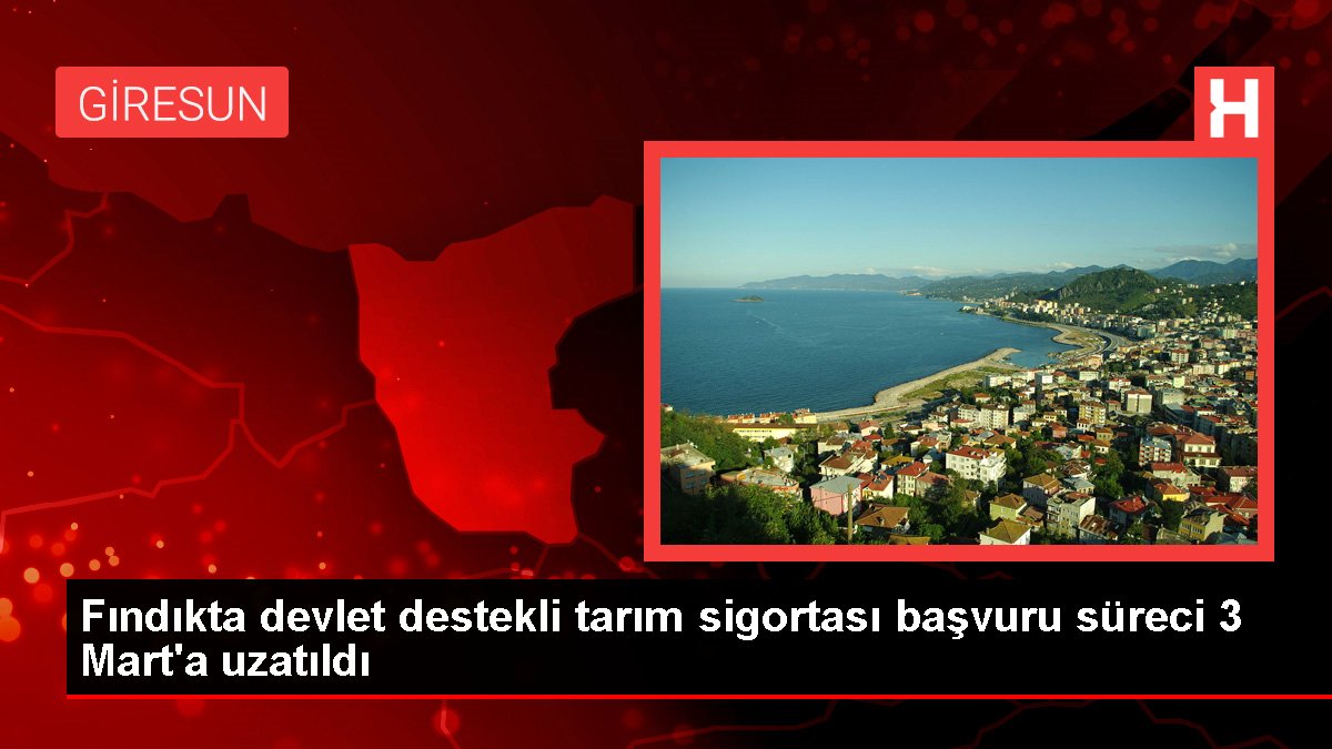Fındıkta devlet destekli tarım sigortası başvuru süreci 3 Mart'a uzatıldı