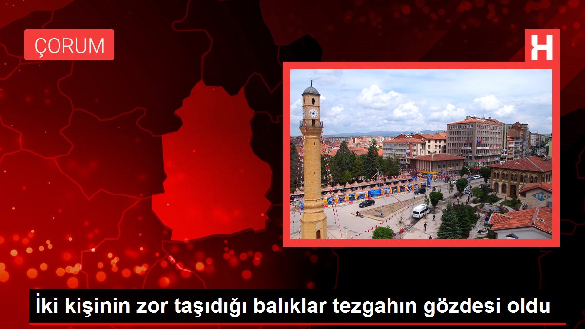 İki kişinin zor taşıdığı balıklar tezgahın gözdesi oldu