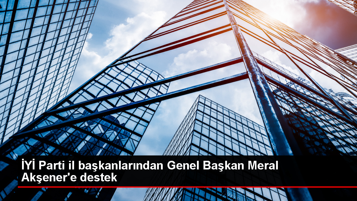 İYİ Parti il başkanları Meral Akşener'i genel başkan adayı olarak önerdi