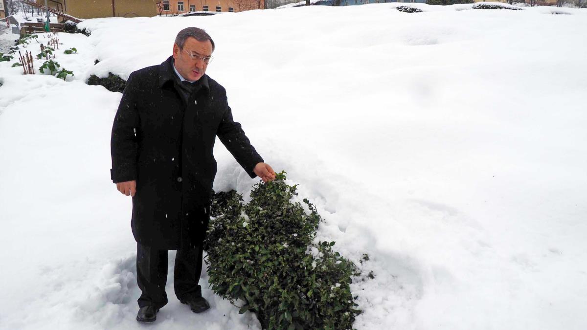 Kar, çayda kalite ve verimi artıracak