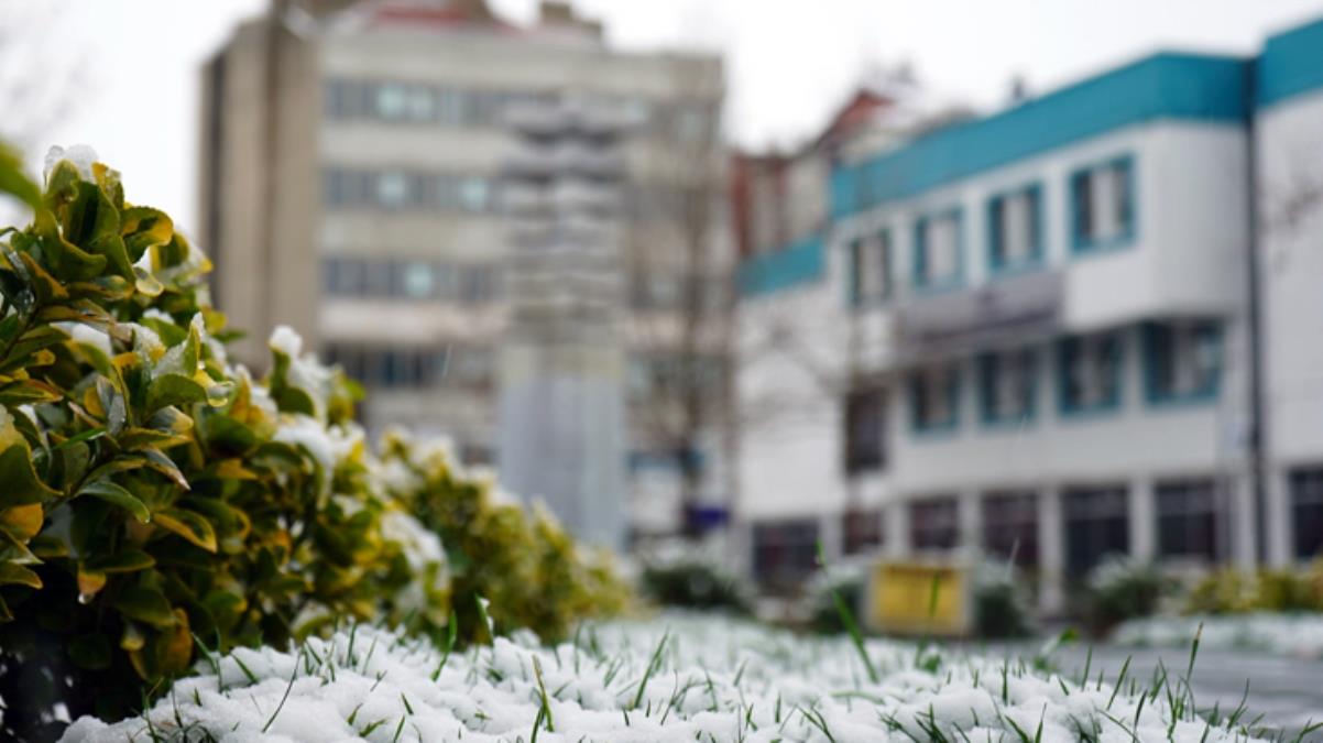Lüleburgaz Belediye binası metaversede 10 dolara satıldı
