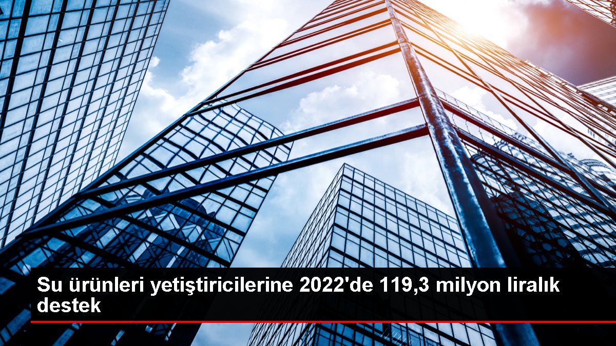 Su ürünleri yetiştiricilerine 2022'de 119,3 milyon liralık destek
