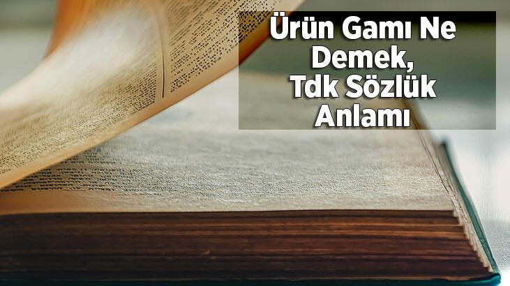 Ürün Gamı Ne Demek, Tdk Sözlük Anlamı Nedir?